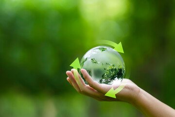 Hand holding earth with circular economy concept. renewable energy, resource efficiency, waste...