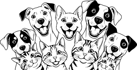 Dogs and cats looking happily at the camera with wide eyes
