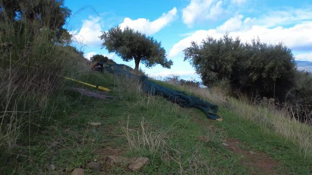 Olive collection nets spread on a steep rocky slope during the harvest