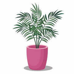 Fototapeta premium A vibrant areca palm plant flourishes within a pink ceramic pot