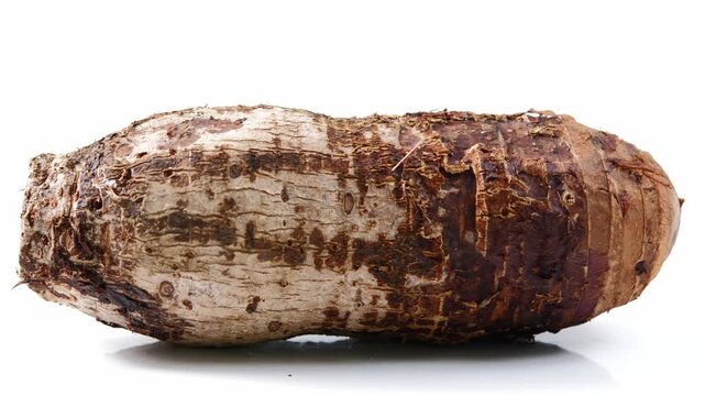 Video of taro on a white background.