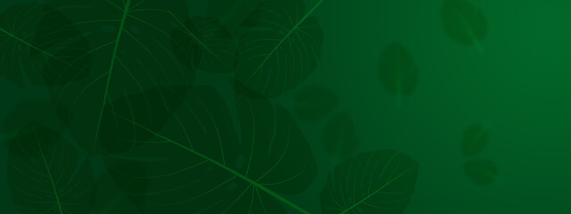 Abstract dark green background featuring tropical monstera leaves with soft shadows and elegant gradients. Perfect for nature-themed designs botanical backdrops or eco-friendly concepts © sutthichai