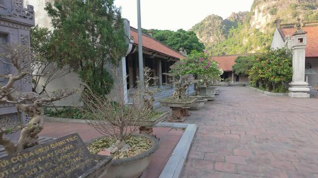 Bonsai trees line a brick walkway at the Hoa Lu Ancient Capital, Ninh Binh, Vietnam. The manicured trees add to the serene atmosphere of the temple grounds.