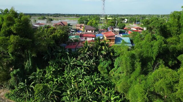 Backward shot revealing the houses near by and banana leaf and full of greens at Bucal Tulay Maragondon Cavite Philippines