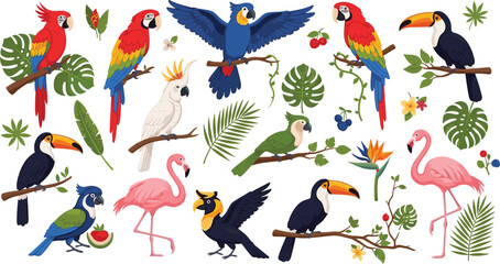 Exotic Jungle Birds Wildlife Collection with Parrots Toucans Flamingos and Tropical Birds with Leaves Flowers and Fruits Vector Illustration Set © Ismail