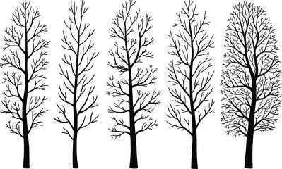 Obraz premium PrintTree silhouette illustration, branching pattern vector design, leafless tree clipart, nature outline graphics, decorative forest art, growth evolution icons collection