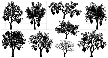 Obraz premium Set of black silhouette trees with hanging objects on white background for design and decoration