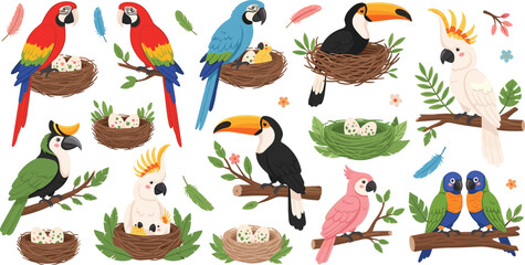 Fototapeta premium Exotic Tropical Birds Nest and Eggs Collection with Parrots Toucans Cockatoos and Colorful Jungle Birds Sitting on Nests Vector Illustration Set