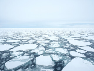 オホーツク海の海を流氷（紋別） © tawa--mana