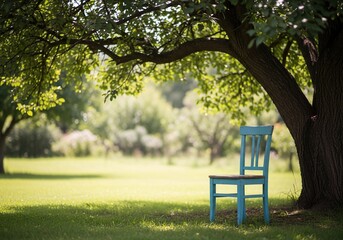 Sun Faded Blue Wooden Chair Under Large Leafy Tree in Peaceful Sunwashed Summer Garden with Soft Focus Background