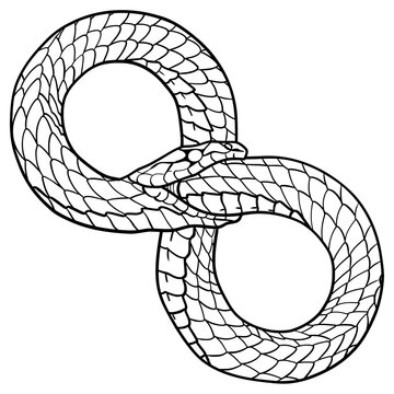 Ouroboros snake forming infinity symbol, detailed scale texture line art illustration, eternal cycle serpent eating tail, tattoo style isolated on background