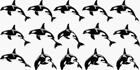 A collection of black orca whales in various swimming poses © Bijoy