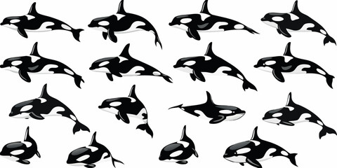 A playful pattern of orcas swimming in various directions © Bivuti