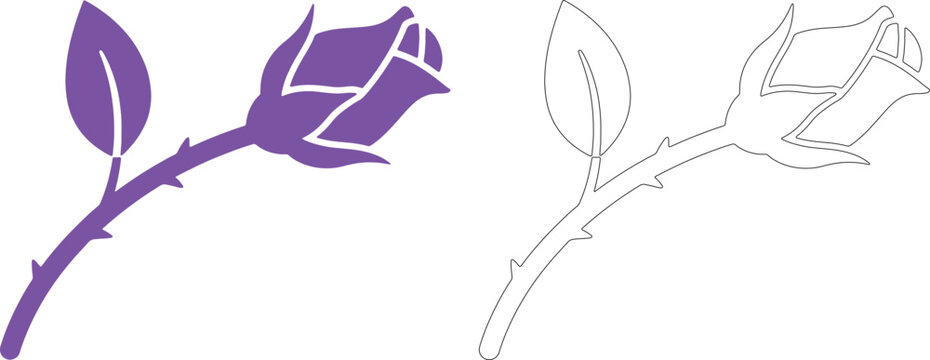 Purple rose bud flower with silhouette and outline