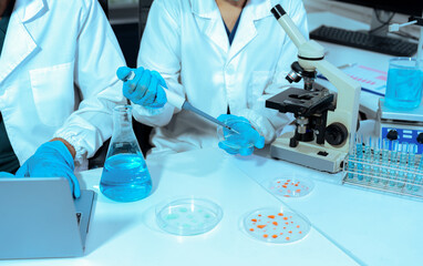 Fototapeta premium Chemist scientist or doctor working in research laboratory, medical analysis, documents, scientific study.
