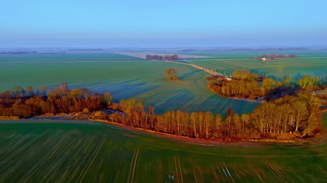 Aerial drone view of expansive green farmland fields with neat rows, bordered by a line of golden autumn trees under a clear sky.