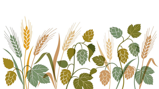 brewery border featuring flat vector hops vines and golden wheat stalks in a layered earth tone composition