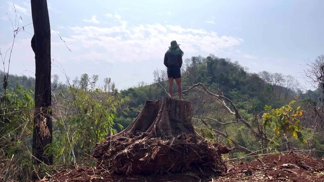 A lone man stands atop a large, uprooted tree stump, looking out over a landscape of cleared forest and distant green hills.