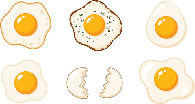 Fried Egg and Broken Egg Collection with Sunny Side Up Eggs, Yolk Variations and Cracked Shell Cooking Ingredient Vector Illustration Set