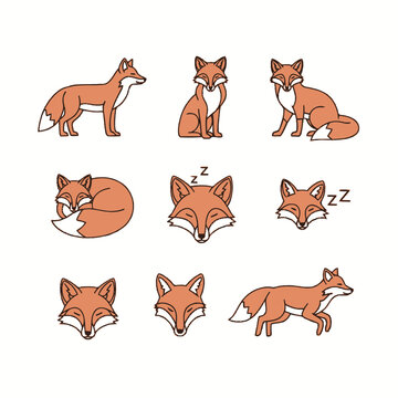Detailed Fox Line Art Icon Set with Various Poses and Sleeping Foxes on White Background