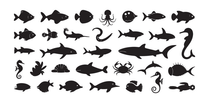 Marine life silhouettes set featuring tropical fish seahorses sharks and underwater nature shapes