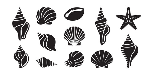 Seashells starfish cowrie conch scallops aquatic mollusk collection silhouette symbols © FARJANAAKTER