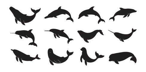 Set of black silhouette icons featuring different types of whales and dolphins swimming shapes © FARJANAAKTER