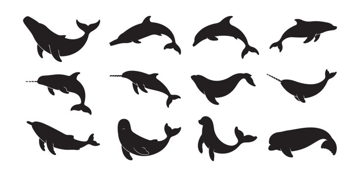 Set of black silhouette icons featuring different types of whales and dolphins swimming shapes