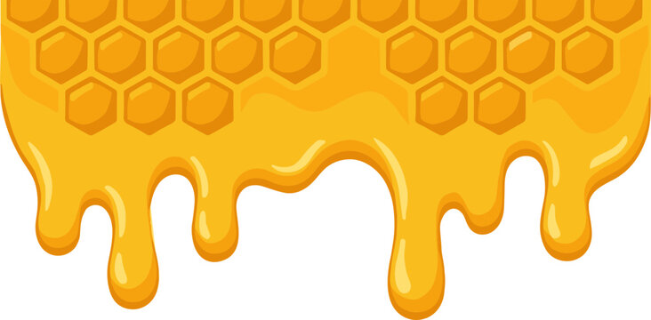 Honey Dripping Border