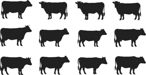 Full Zip Fleece Vest Technical Flat Sketch Vector Template with High Collar and Welt Pockets for Men and Women Fashion Design © Sree