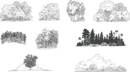 Nine black and white of various tree and forest landscapes with different styles and compositions © Montaha,, Creatives