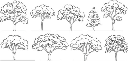 Nine different types of trees drawn in black and white line style line black and white nature outdoor © Montaha,, Creatives