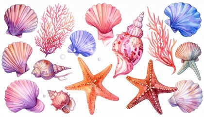 Colorful seashells starfish and coral illustrations symbolizing marine life tropical beauty and oceanic decorative themes