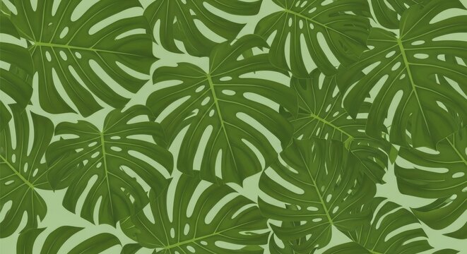 Tropical green palm leaf pattern background.