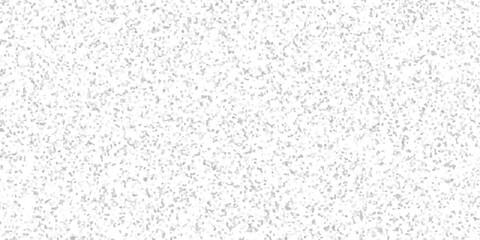 Obraz premium White Speckled Textured Background with Subtle Grainy Overlay for Abstract Graphic Design and Digital Art Applications