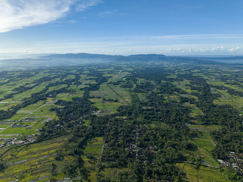 Aerial view of a lush landscape, a verdant tapestry woven with rice fields and dense forests under a clear sky, Woro River, Klaten Regency, Central Java, Indonesia.