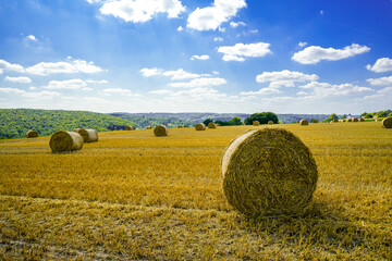 View of a field after the hay harvest. Nature with straw bales.  © Elly Miller