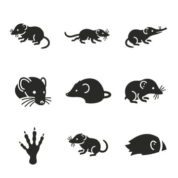 Shrew silhouette icon set in black, showcasing various active poses, head profiles, and a single paw print, with abstract animal shape.