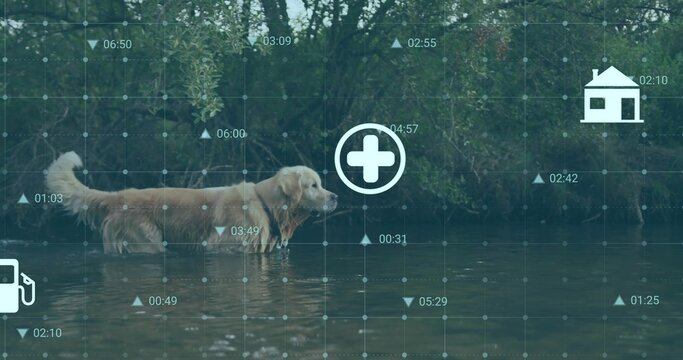 Overlay appearing, golden retriever wading in river by shrub bank, showing med, house, pump icons