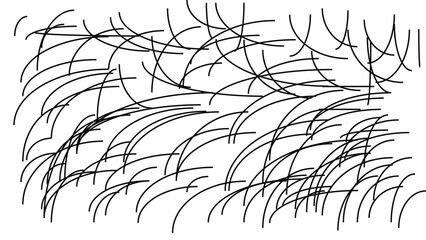 Fototapeta premium Dense field of arced black lines imitating grass texture on transparent grid background
