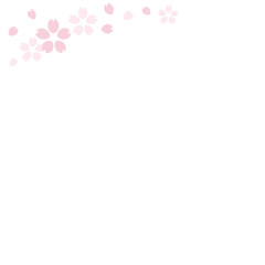 Obraz premium 桜