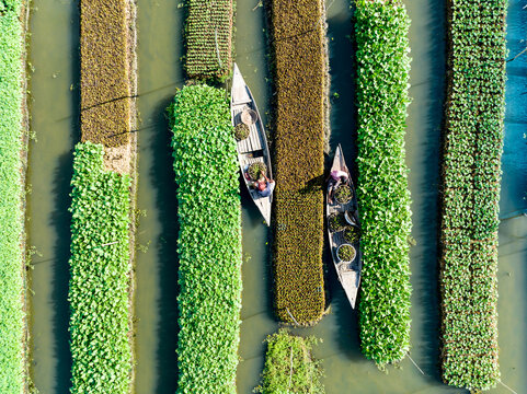 Aerial view of boats glide through narrow waterways amidst vibrant green and brown fields, creating a stunning tapestry of agriculture, Barisal, Barisal Division, Bangladesh.