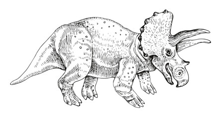 Triceratops dinosaur hand drawn vector © Marina Gorskaya