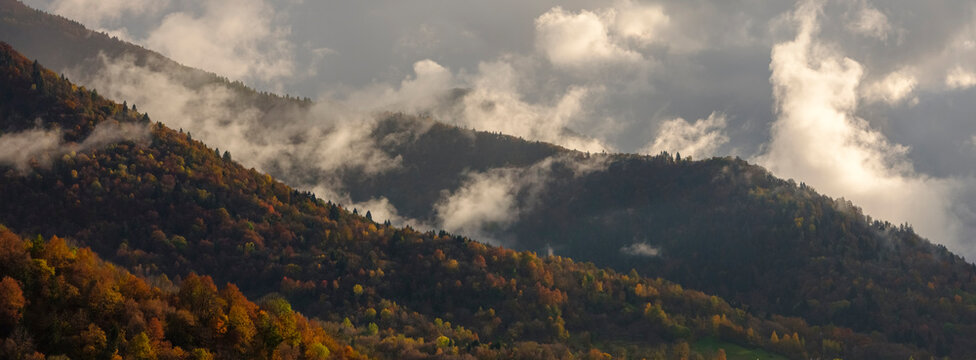 Mountainside covered in autumn foliage, partially obscured by low-lying clouds under a cloudy sky. Adamello Brenta Natural Park, Madonna di Campiglio,Trentino,Italy