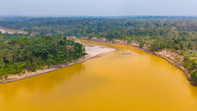 Aerial view of the winding, golden river snaking through dense, emerald rainforest, the sandy banks contrasting against the vibrant greenery, Puerto Maldonado, Madre de Dios, Peru.