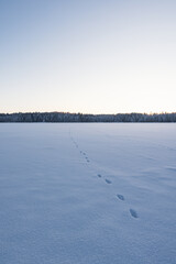 Footprints crossing frozen lake in winter landscape