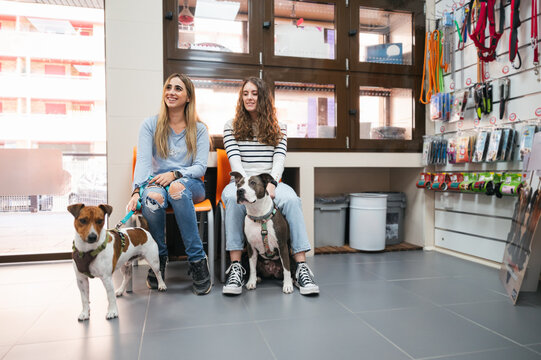Women and dogs waiting in veterinary clinic reception