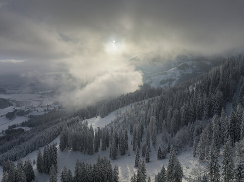 Aerial view of snow-laden trees stand in stark contrast to the muted sky, creating a serene winter wonderland, Tannheim, Austria.