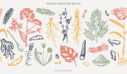 Traditional medicine banner design. Medicinal herbs roots hand drawn vector illustrations. Apothecary plants seamless border in engraved style. NoT AI generated. © sketched-graphics