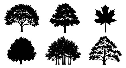 Fototapeta premium Nature Environment Vector Art: Diverse Black White Tree and Maple Leaf Silhouettes